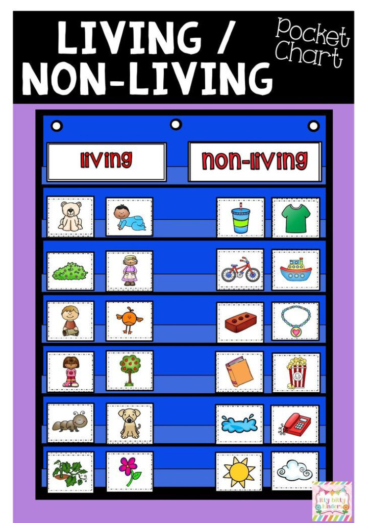 Living And Nonliving Things Science Activities Living And Nonliving 