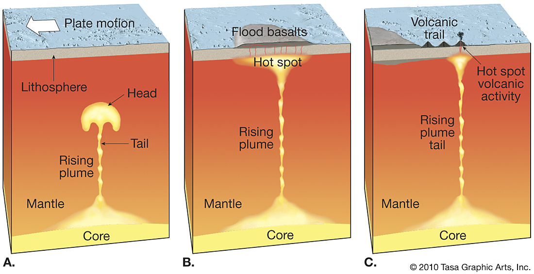 Magnetic Anomalies At The World s Largest Volcano Schmidt Ocean Institute