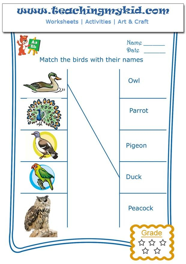 Match The Birds With Their Names Worksheet 2 Teaching My Kid