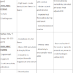 Mole Conversions Chem Worksheet 11 3 Worksheet List