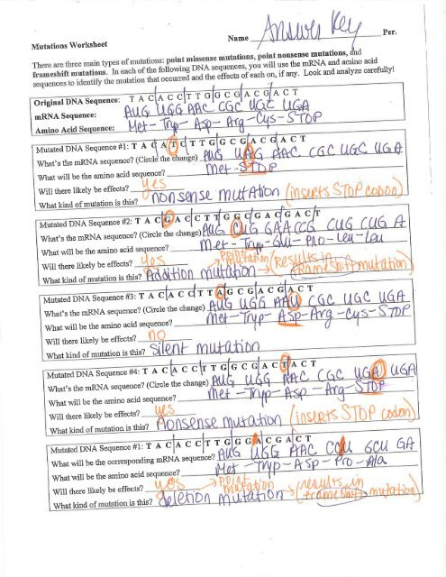 Mutations Worksheet Answer Key pdf Fcserver nvnet