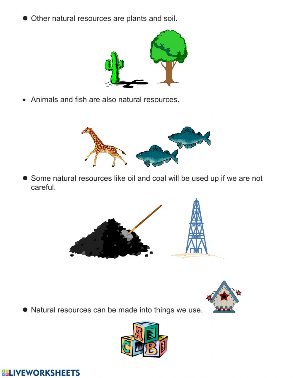 Natural Resources Interactive Worksheet