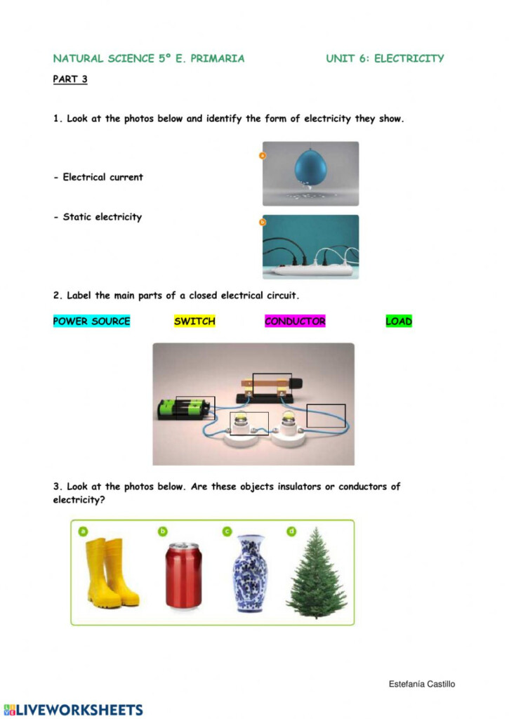 Natural Science 5 Unit 6 3 Interactive Worksheet