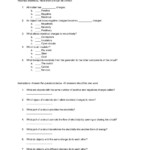 Natural Science 6th Grade ESL Unit 8 Electricity Magnetism Worksheet