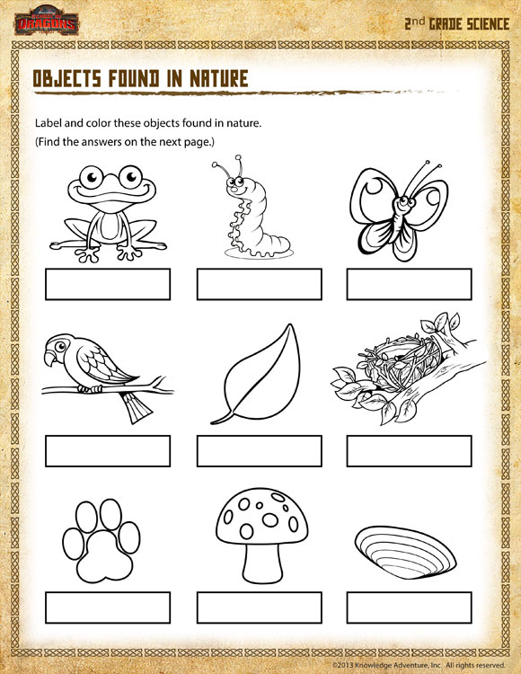 Objects Found In Nature View 2nd Grade Science Worksheet SoD Amalbucyb