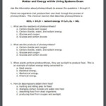 October Sky Questions Worksheets Answers The Facts Show Resume Sample