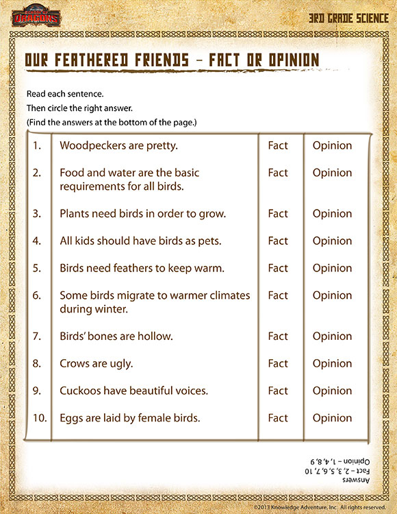 Our Feathered Friends View 3rd Grade Science Worksheet SoD