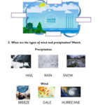 Pdf Online Worksheet Water Cycle In 2021 Water Cycle Water Cycle