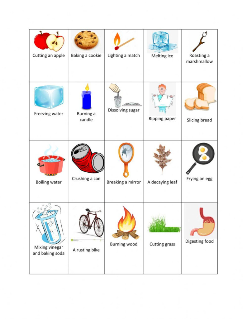 Physical And Chemical Changes Interactive Worksheet For 7