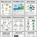 Pin By Rosalba On Third Grade Science Lessons In 2020 Third Grade
