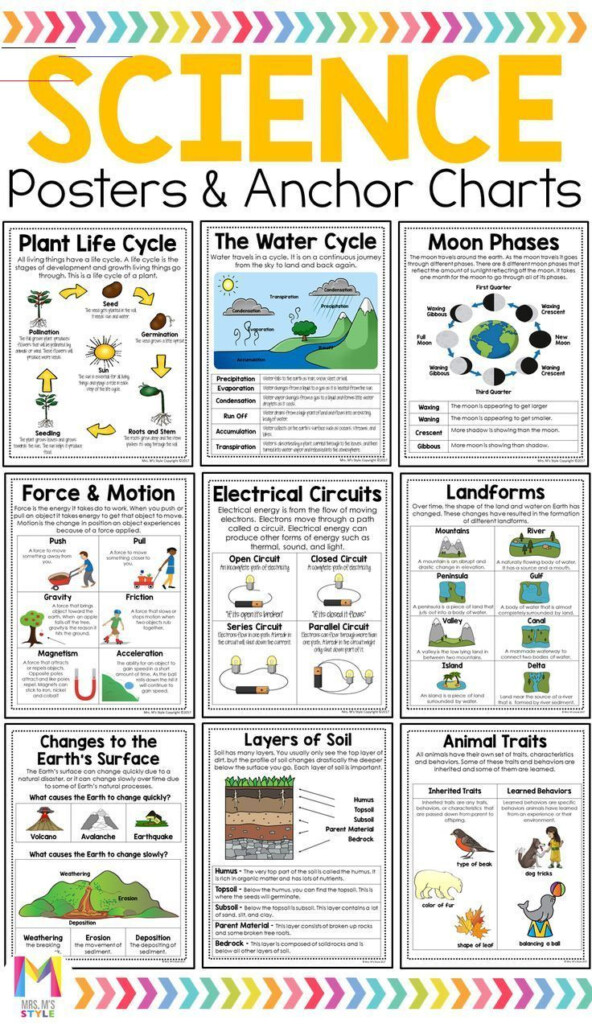 Pin By Rosalba On Third Grade Science Lessons In 2020 Third Grade 