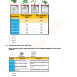 Pin On Class 3 Olympiad Study Material