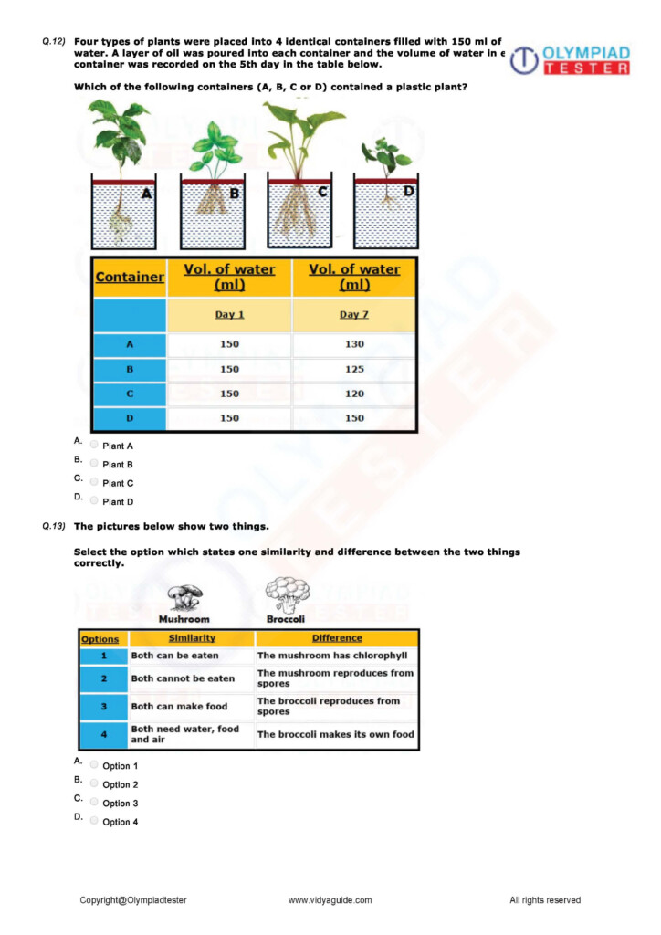 Pin On Class 3 Olympiad Study Material