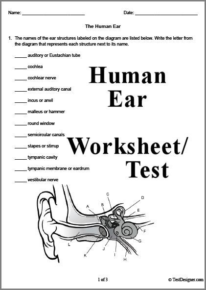 Pin On How Do We Hear 