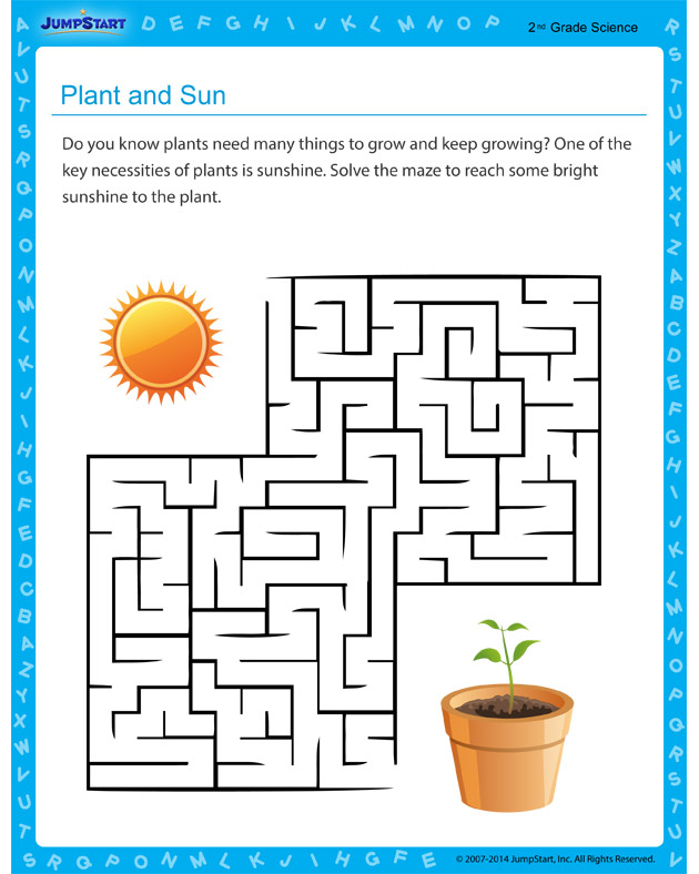 Plant And Sun Worksheet Science Worksheet For 2nd Grade Kids JumpStart