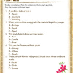 Plant MCQs View Free 4th Grade Science Worksheet Fourth Grade