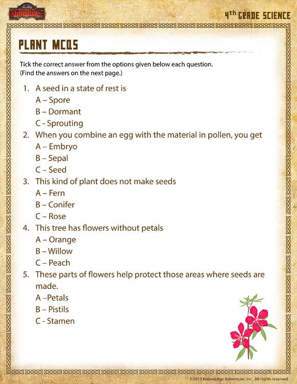 Plant MCQs View Free 4th Grade Science Worksheet Fourth Grade 