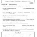 Plant Pollination TeacherVision Pollination Plant Life Cycle