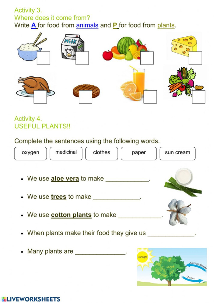 Plants Are Delicious Worksheet