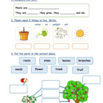 Plants Interactive And Downloadable Worksheet You Can Do The Exercises