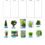 Plants Online Worksheet For Grade 4