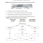 Plate Boundary Worksheet Answers Plate Boundary Worksheet In 2020