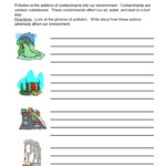 Pollution Worksheet