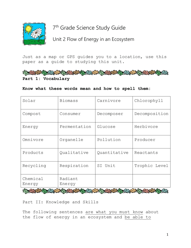 Practice Photosynthesis Concept Map Energy Flow Unit