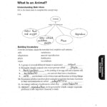 Prentice Hall Inc Science Worksheet Answers A Worksheet Blog