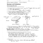 Prentice Hall Inc Science Worksheet Answers A Worksheet Blog