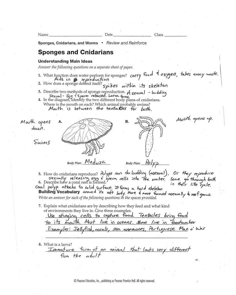 Prentice Hall Inc Science Worksheet Answers A Worksheet Blog