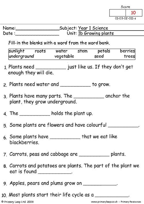 PrimaryLeap co uk Growing Plants 2 Worksheet Third Grade Science