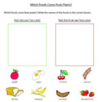 PrimaryLeap co uk Which Foods Come From Plants Worksheet Plants