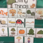 Print Play With Living And Non Living Things Kindergarten Science