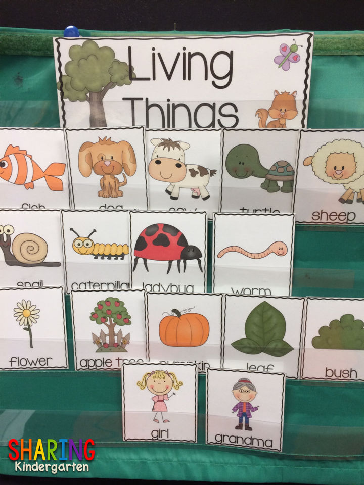 Print Play With Living And Non Living Things Kindergarten Science