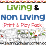 Print Play With Living And Non Living Things Sharing Kindergarten