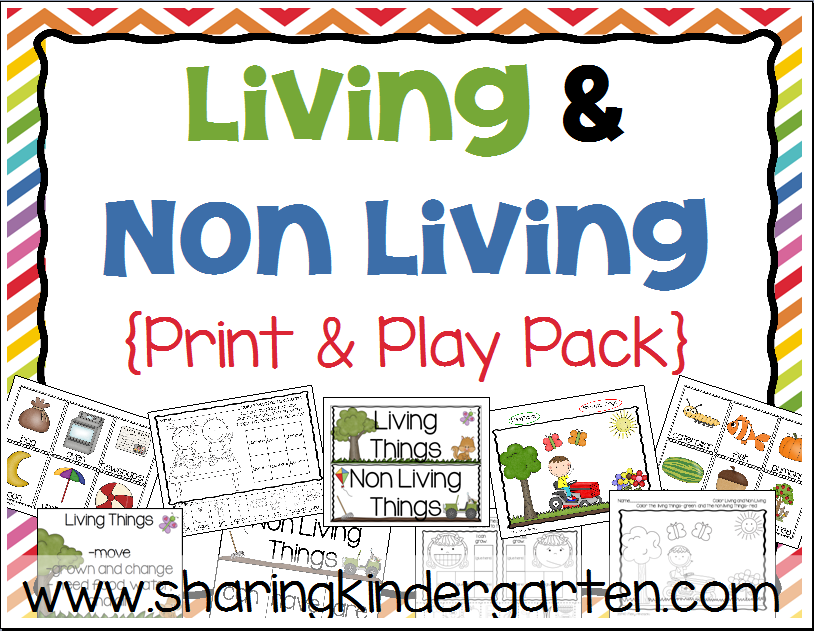 Print Play With Living And Non Living Things Sharing Kindergarten 