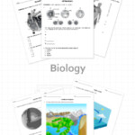 Printable Online Science Worksheets And Activities K 12 Biology