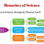 Printables Branches Of Science Worksheet Printables Branches Of Science