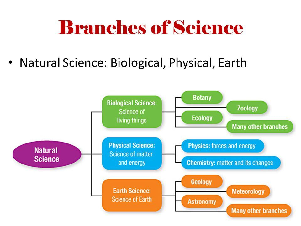 Printables Branches Of Science Worksheet Printables Branches Of Science