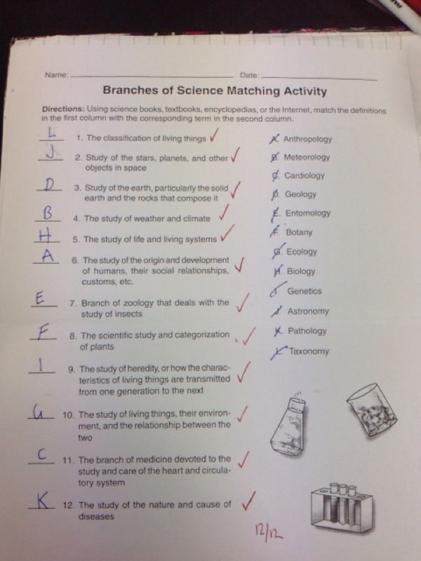 Printables Branches Of Science Worksheet Worksheet Branches Of Science 