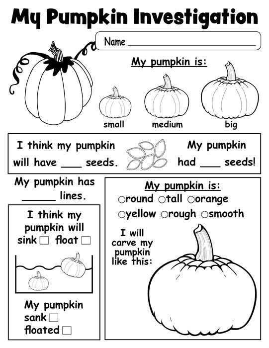 Pumpkin Investigation Worksheet FREE Printable Kindergarten