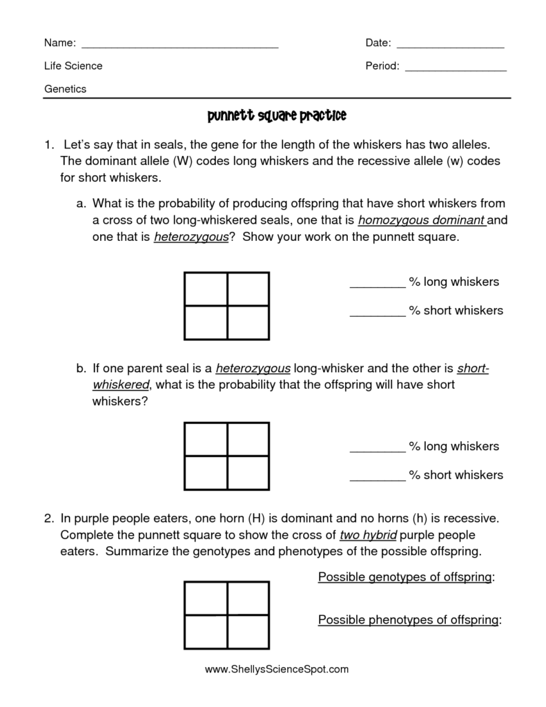 Punnett Square Practice Worksheet Answers Punnett Squares Practices 