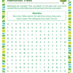 Rainforest Trees Worksheet 3rd Grade Science Printable SoD