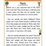 Reading Comprehension Worksheet Plants Science Reading