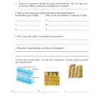 Saturated And Unsaturated Fats Worksheet TUTORE ORG Master Of Documents