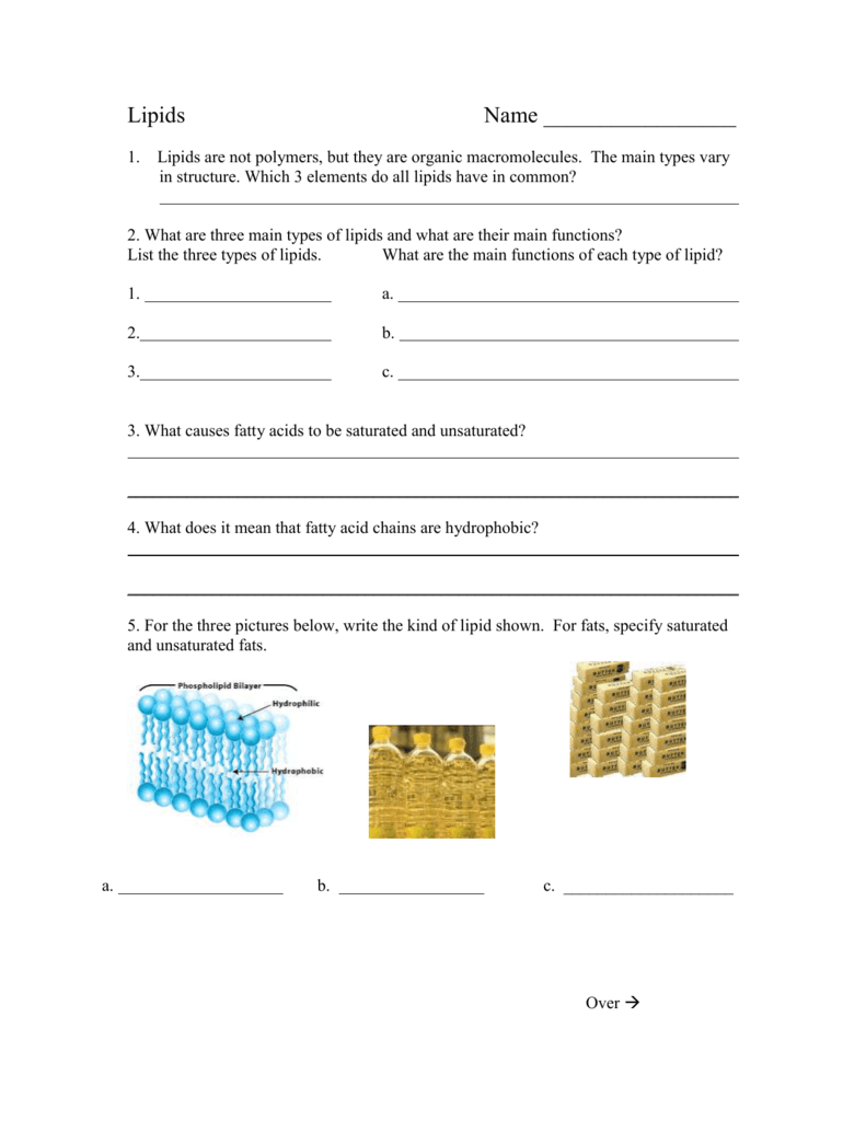 Saturated And Unsaturated Fats Worksheet TUTORE ORG Master Of Documents