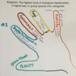 Science 5 Kingdoms Of Living Things Science Biology Teaching