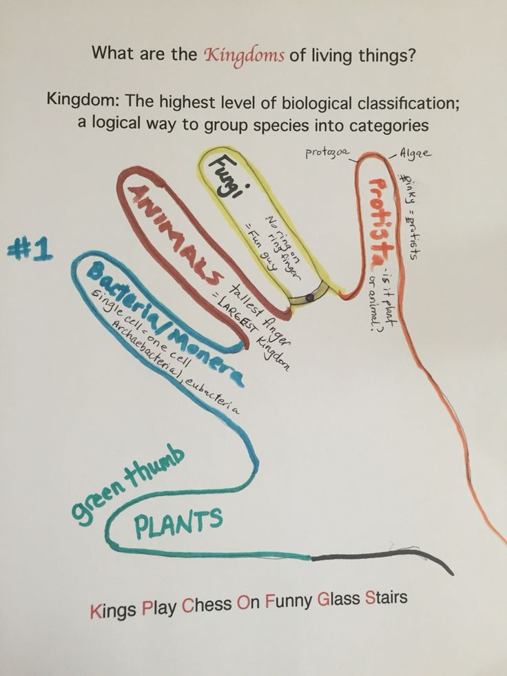 Science 5 Kingdoms Of Living Things Science Biology Teaching 