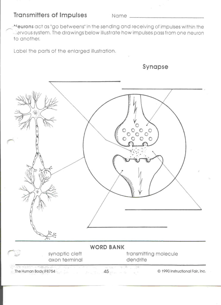 Science 8 Arcuri s Website